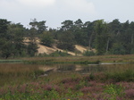 SX24225 Lommer heide.jpg